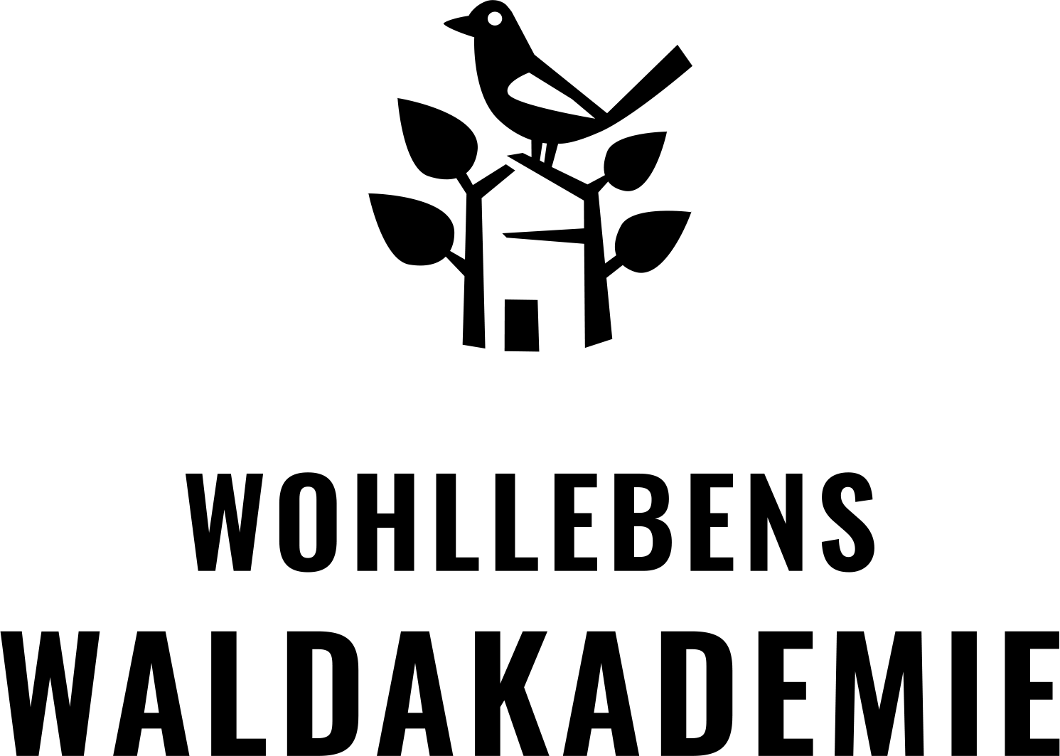 Wohllebens Waldakademie