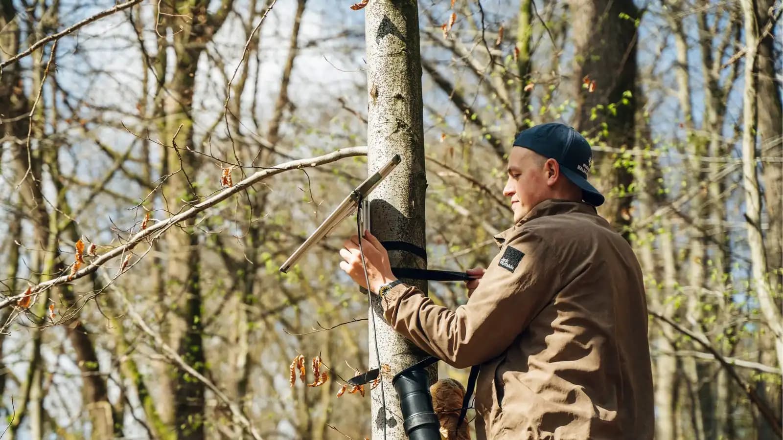 Monitoring-Technik an einem Baum im Schutzgebiet