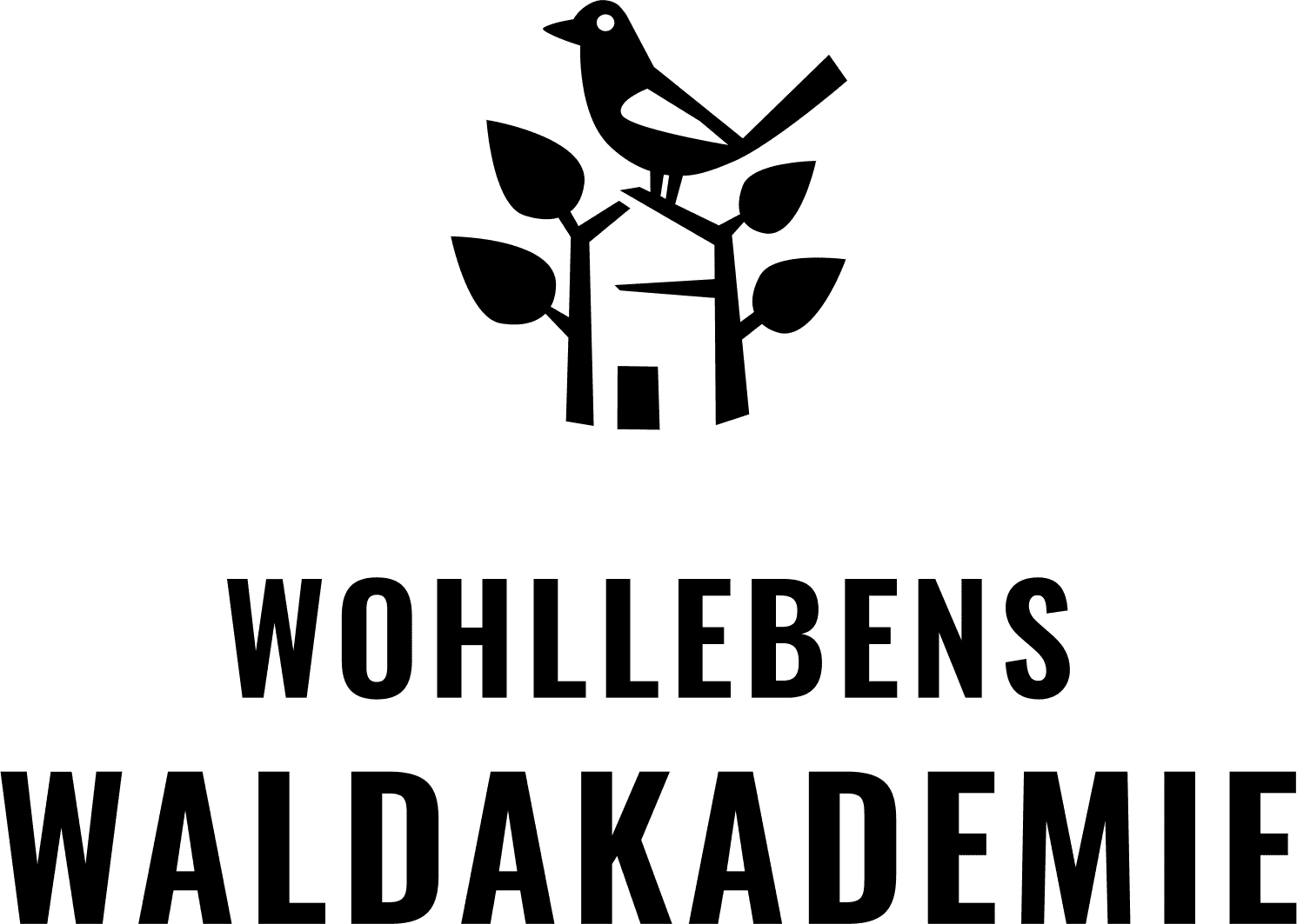 Wohllebens Waldakademie
